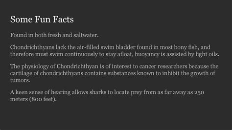 chondrichthyes fun facts|Chondrichthyan .